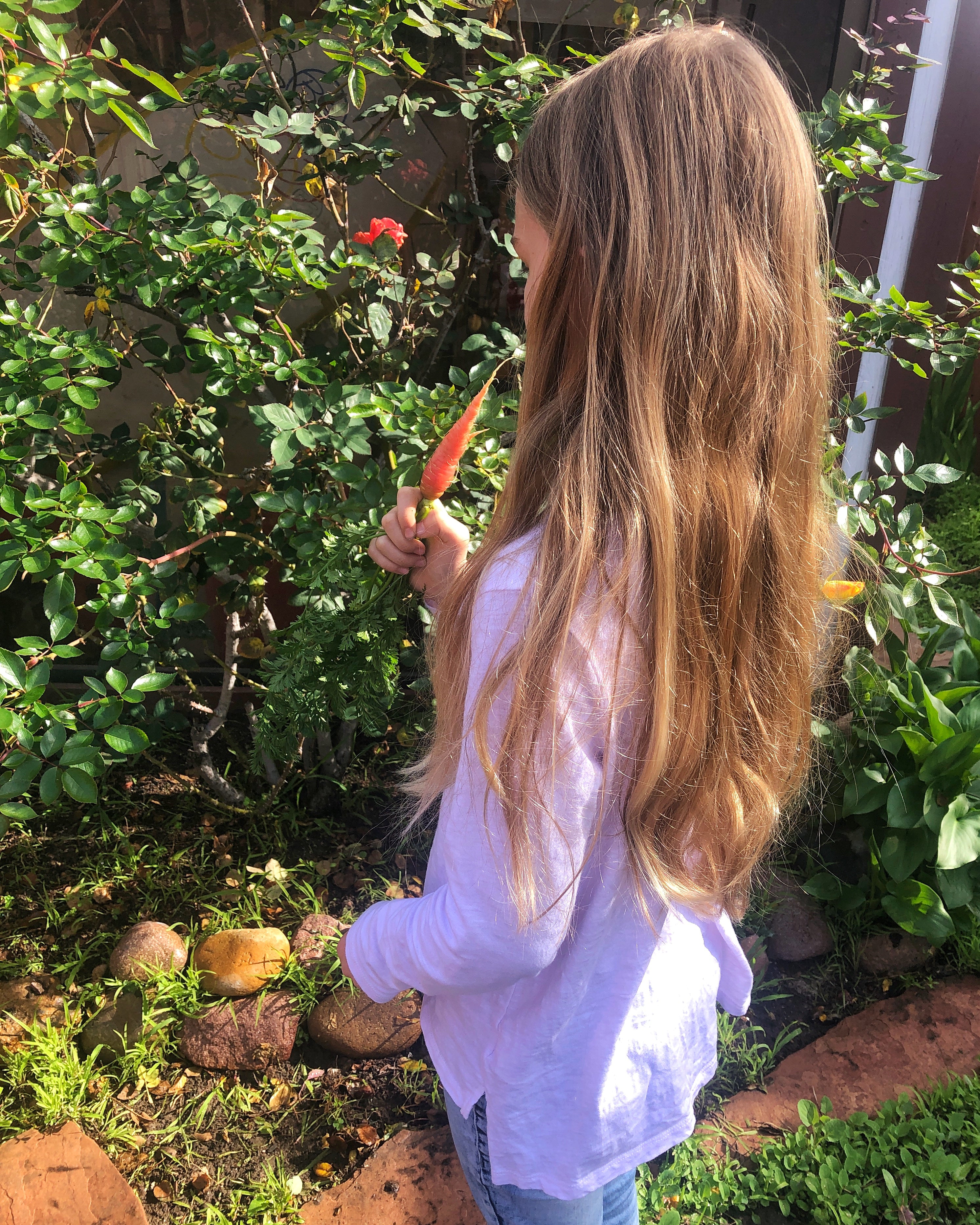 How Much Sugar Should Your Child be Having